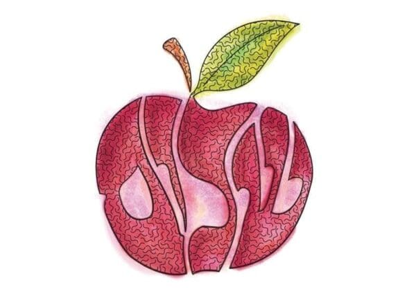 APPLE SHALOM #1004