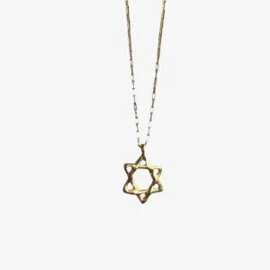 Gold Star of David Necklace