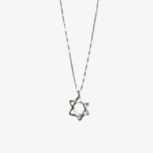 Silver Star of David Necklace